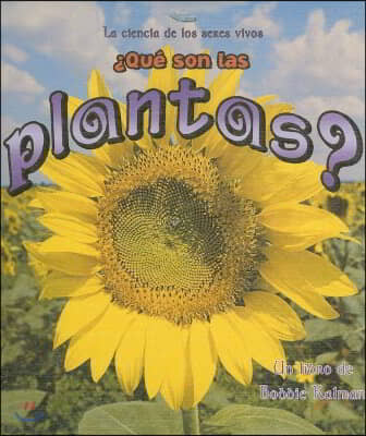 Que Son Las Plantas?