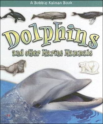 Dolphins and Other Marine Mammals