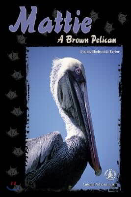 Mattie: A Brown Pelican