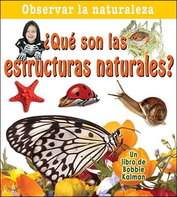 &#191;Que Son Las Estructuras Naturales? (What Are Natural Structures?)