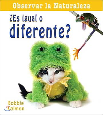 &#191;Es Igual O Diferente? (Is It the Same or Different?)