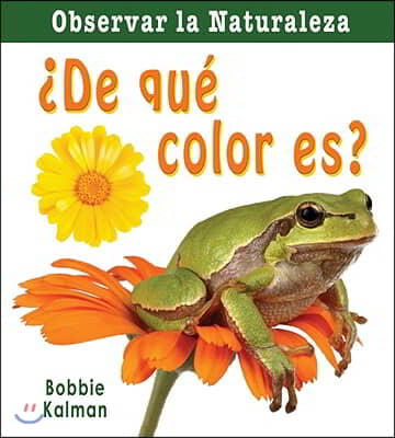 ¿De Que Color Es? (What Color Is It?)