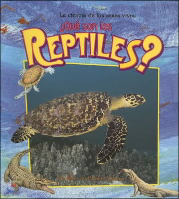 ¿Que Son Los Reptiles? (What Is a Reptile?)