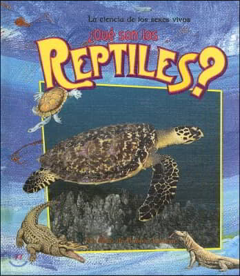 ¿Que Son Los Reptiles? (What Is a Reptile?)