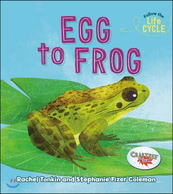 Egg to Frog