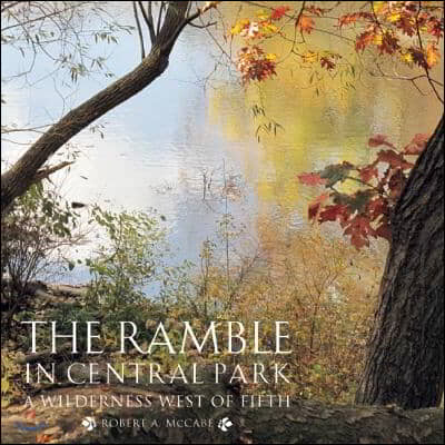 The Ramble in Central Park