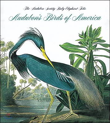 Audubon&#39;s Birds of America: The National Audubon Society Baby Elephant Folio (Tiny Folio)