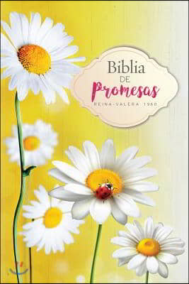 Biblia de Promesas- Economica-Rustica