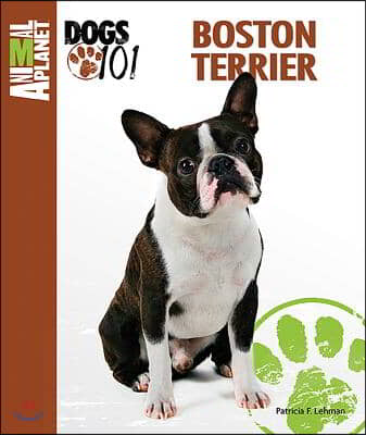 Animal Planet Dogs 101 Boston Terrier