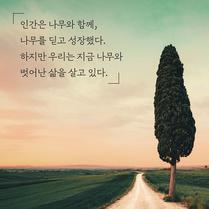 카드뉴스