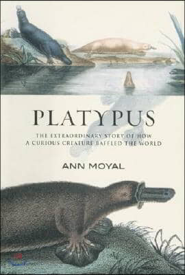 Platypus: The Extraordinary Story of How a Curious Creature Baffled the World (Paperback)