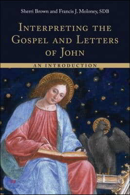 Interpreting the Gospel and Letters of John: An Introduction