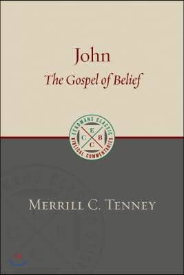 John: The Gospel of Belief: An Analytic Study of the Text