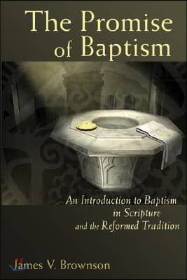 Promise of Baptism: An Introduction to Baptism in Scripture and the Reformed Tradition