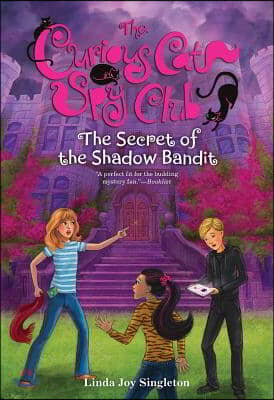 The Secret of the Shadow Bandit: Volume 4