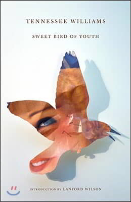 Sweet Bird of Youth