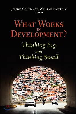What Works in Development?: Thinking Big and Thinking Small