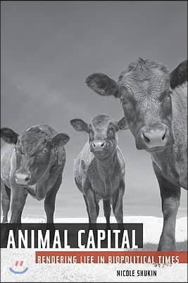 Animal Capital: Rendering Life in Biopolitical Times Volume 6