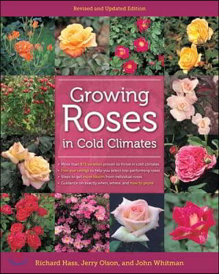 Growing Roses in Cold Climates