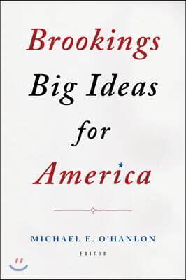 Brookings Big Ideas for America