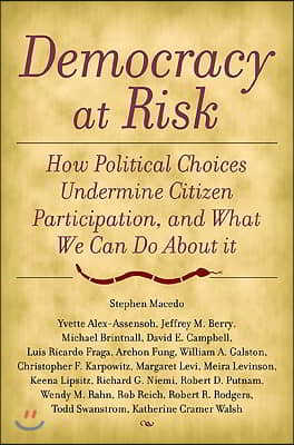 Democracy at Risk: How Political Choices Undermine Citizen Participation, and What We Can Do About It