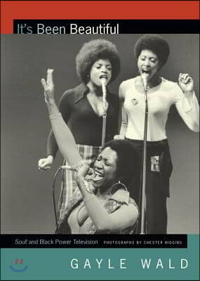 It&#39;s Been Beautiful: Soul! and Black Power Television