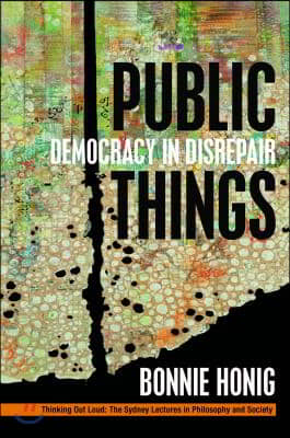 Public Things: Democracy in Disrepair