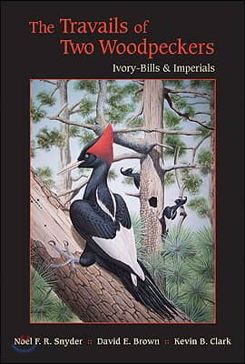 The Travails of Two Woodpeckers: Ivory-Bills &amp; Imperials