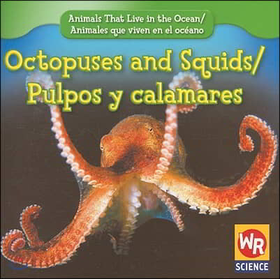 Octopuses and Squids / Pulpos Y Calamares