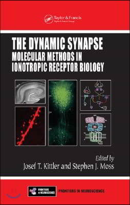 Dynamic Synapse