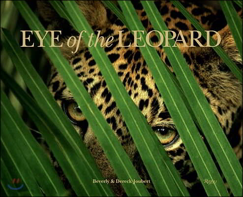 Eye of the Leopard