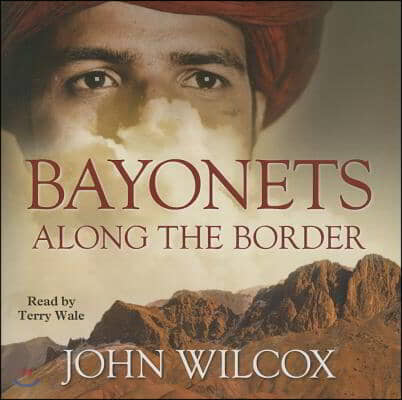 Bayonets Along the Border