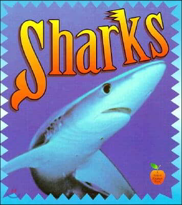 Sharks (Paperback)