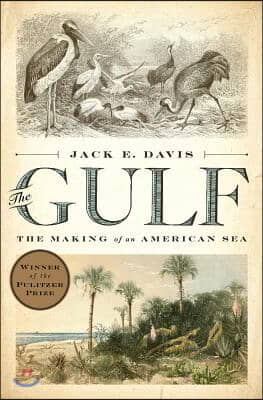 The Gulf