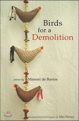 Birds for a Demolition