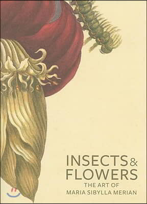 Insects and Flowers: The Art of Maria Sibylla Merian