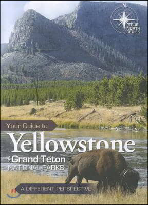 Your Guide to Yellowstone and Grand Teton National Parks: A Different Perspective