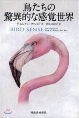 鳥たちの驚異的な感覺世界