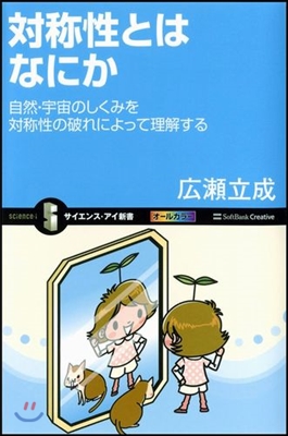 對稱性とはなにか 自然.宇宙のしくみを對稱性の破れによって理解する