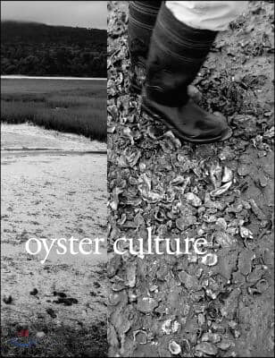 Oyster Culture