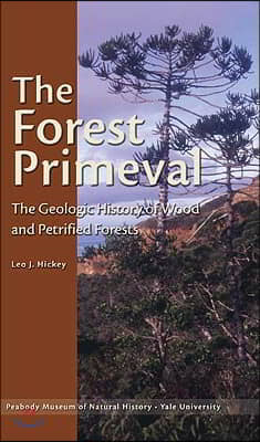 The Forest Primeval: The Geologic History of Wood and Petrified Forests