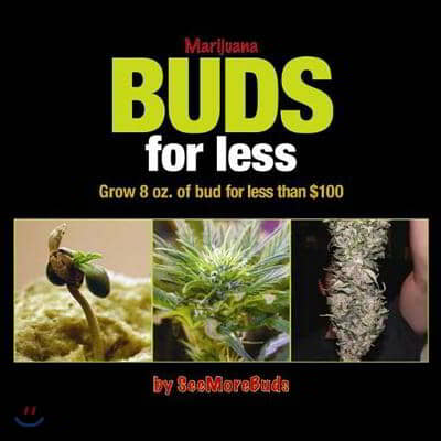 Marijuana Buds for Less: Grow 8 Oz. of Bud for Less Than $100