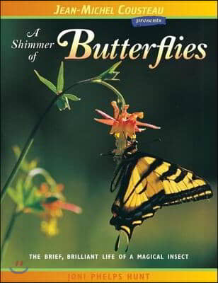 A Shimmer of Butterflies: The Brief, Brilliant Life of a Magical Insect