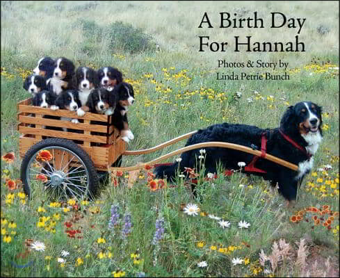 A Birth Day for Hannah