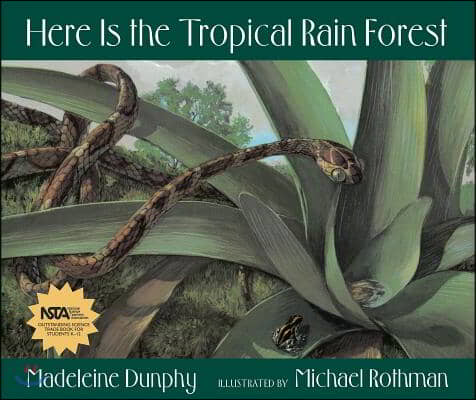 Here Is the Tropical Rain Forest