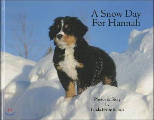 A Snow Day for Hannah