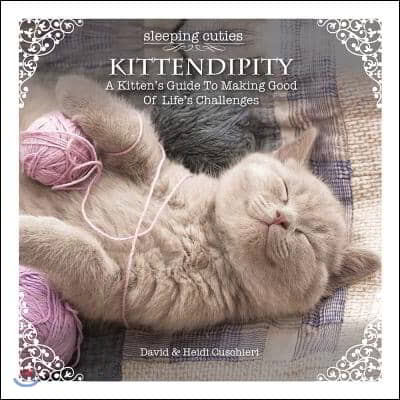 Kittendipity