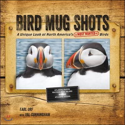 Bird Mug Shots: A Unique Look at North America&#39;s Most Wanted Birds