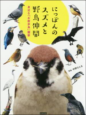 にっぽんのスズメと野鳥仲間