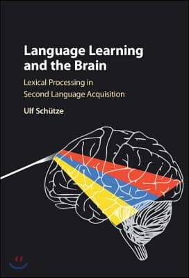 Language Learning and the Brain: Lexical Processing in Second Language Acquisition